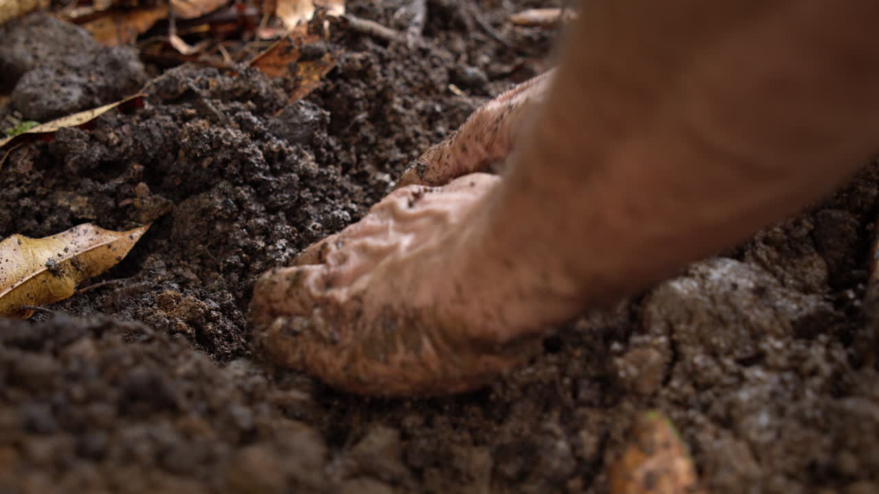 Hands Digging Soil For Planting - Close Up