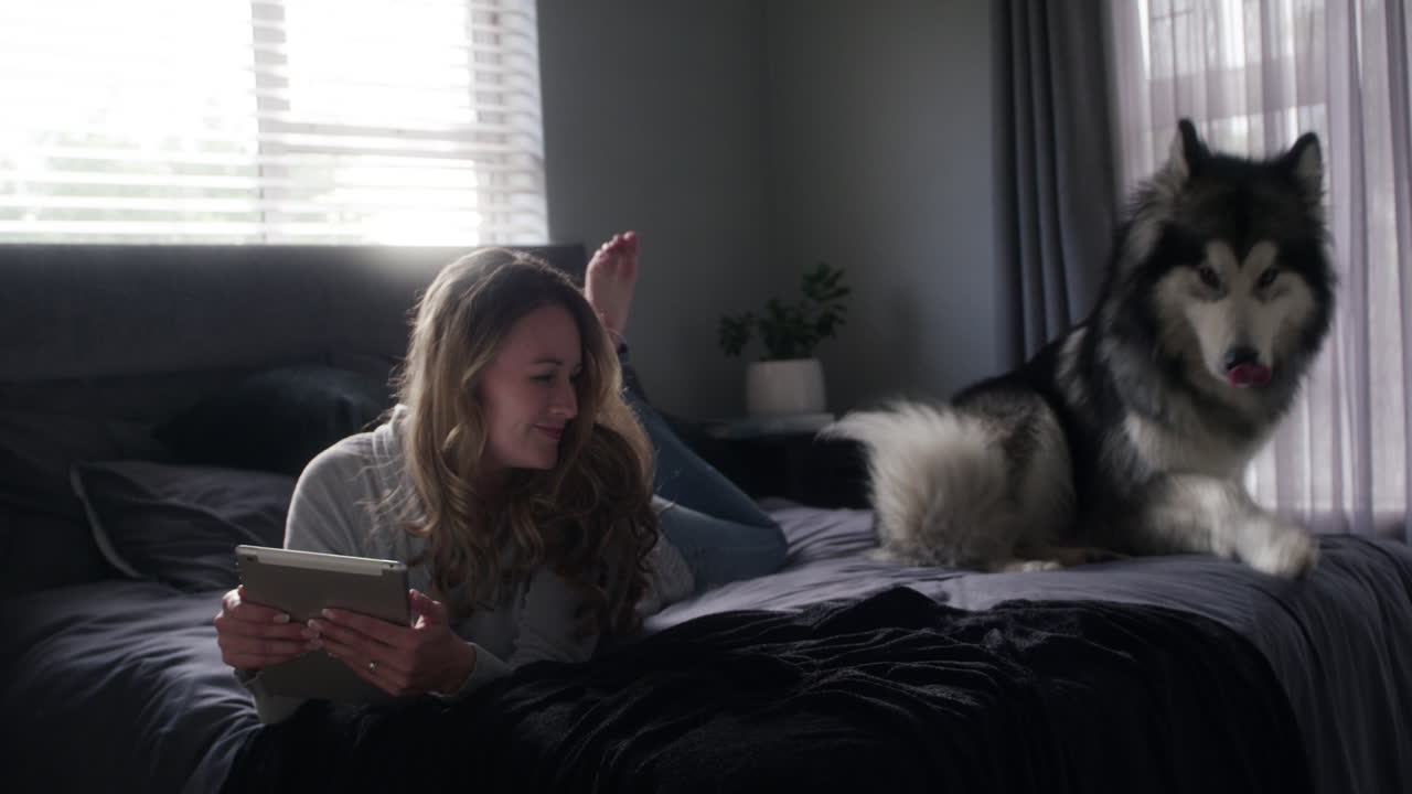 집에서 게으른 날에 필요한 유일한 회사