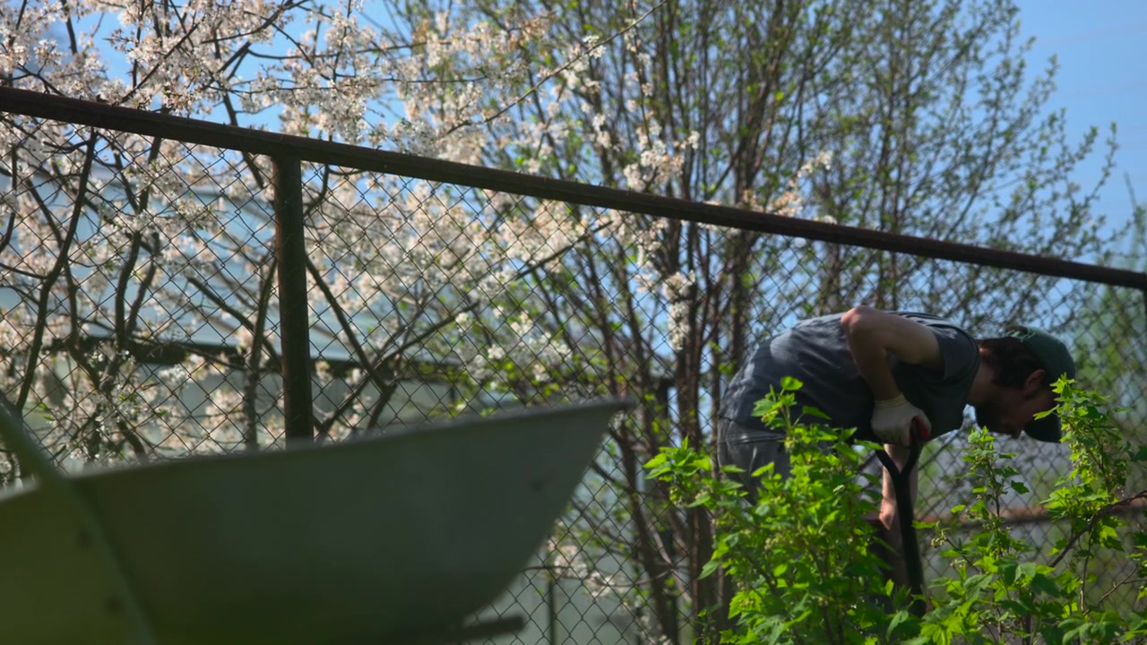 Side view of an adult man wearing a green cap and dark shirt near a chain-link fence, with leafy trees, blue sky, and sunlit greenery in an outdoor rural