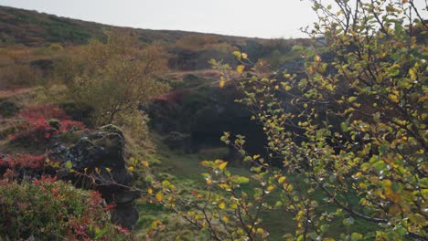 A-few-remaining-green-leaves-before-the-autumn-colors-take-over