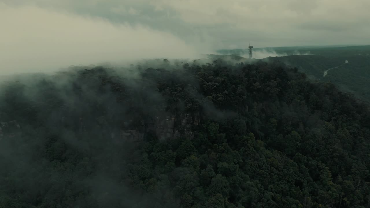 Misty Illawarra Escarpment with fog rolling over forested ridges and low visibility at dawn, forest breathing texture