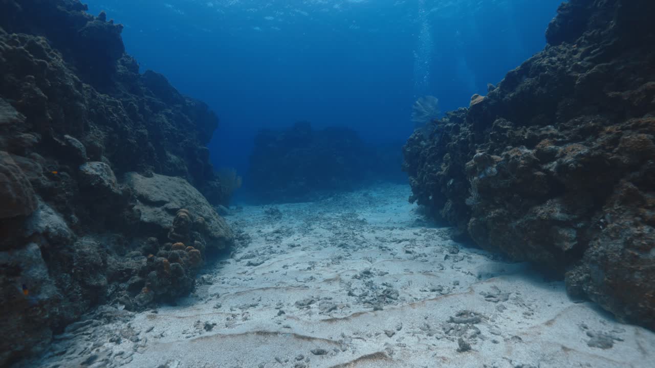 Coral Reef with Diver in the Background — Vibrant Underwater Scenery Showcasing Marine Life, Depth, and Peaceful Ocean Habitat — Filmed in Stunning 4K 60 FPS for Premium Stock Footage