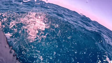 Meeting-dolphins-swimming-below-the-motorboat