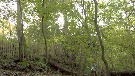 Pan-up-from-leaf-covered-autumnal-forest-floor-to-shining-sky-through-canopy