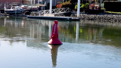 red buoy floating in calm waters