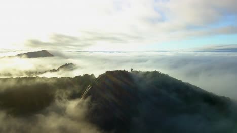 voltzberg granite dome mountain, central suriname nature reserve, aerial view