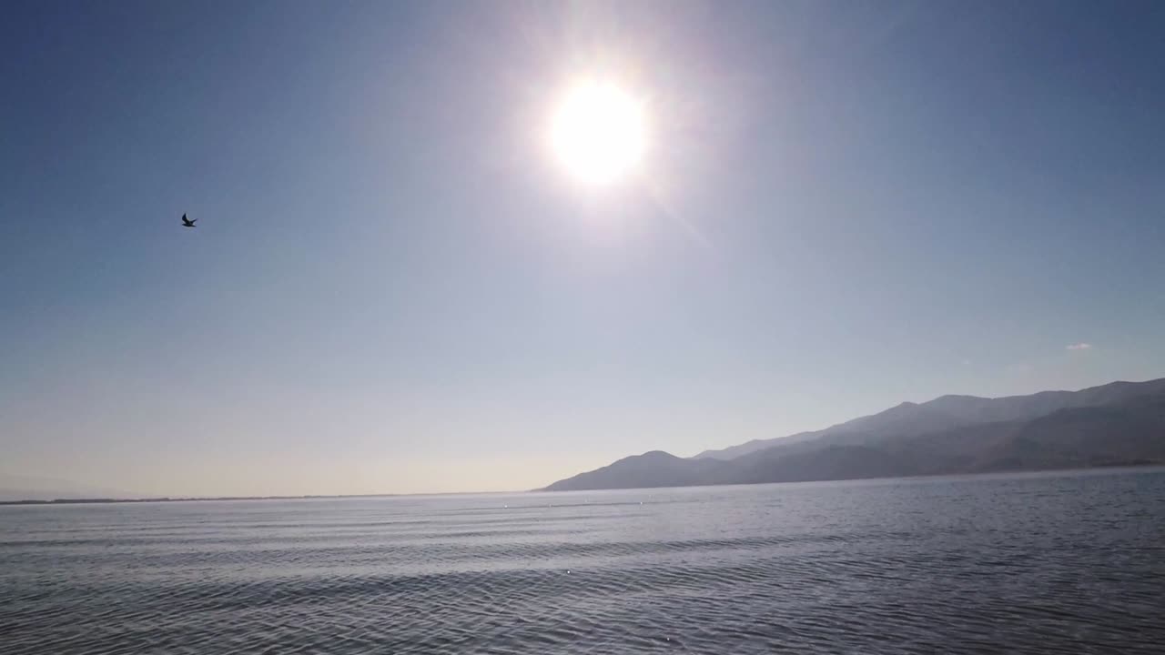 View of the Kerkini lake on a calm sunny day