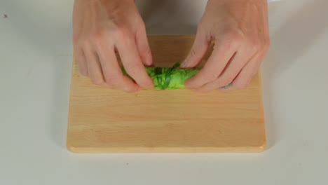 chef hand top down view sealing a vegan spring roll traditional healthy vietnamese cuisine