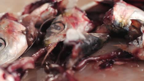 fresh sea sardines and anchovy fish and mullus on display on ice on market store shop. seafood fish background, close up stand of small salty white fish.