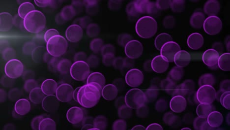 animation of purple bubbles