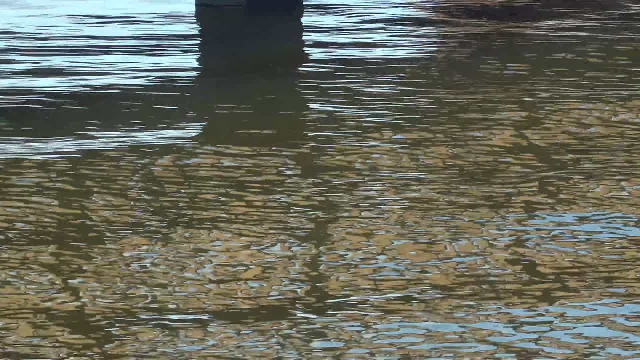 Color and shape reflect in waves .