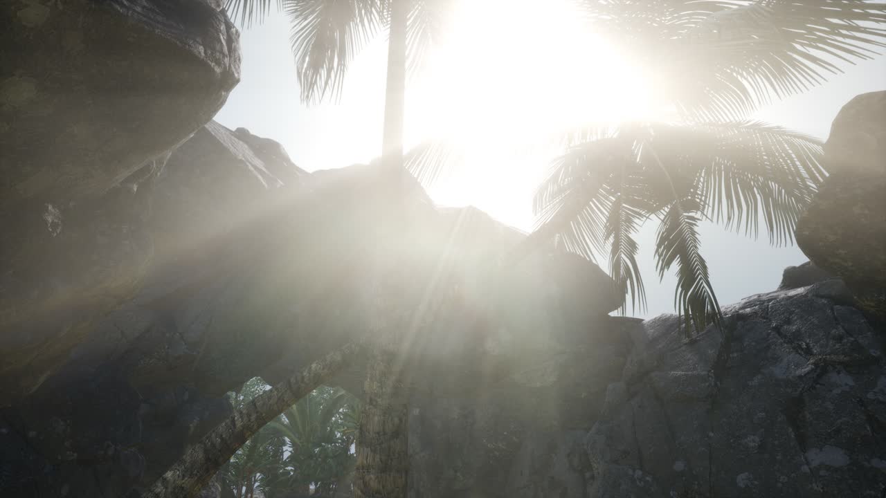большие пальмы в каменной пещере с лучами солнечного света