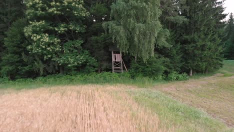 Observatorium-Für-Wildtiere-Im-Sommer