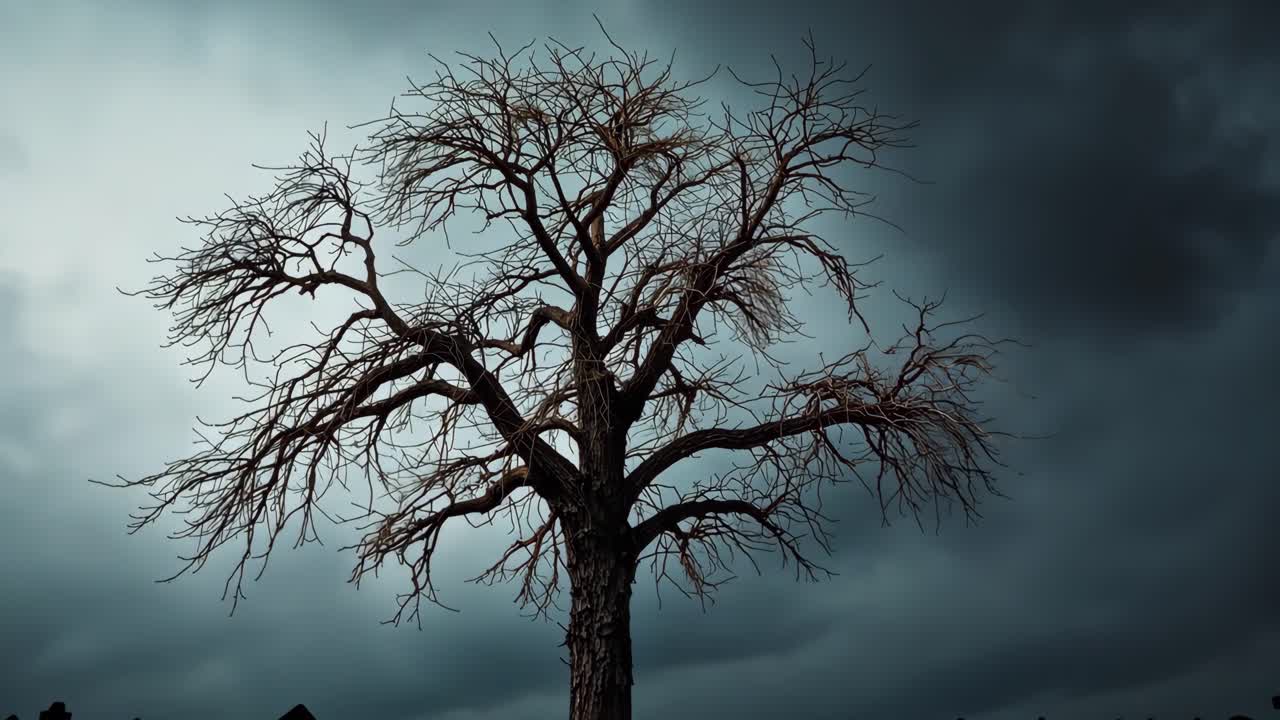 Ominous leafless tree against dark cloudy sky in graveyard