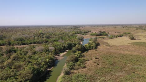 zona pantanosa seca debido a la sequía en la región del pantanal sur