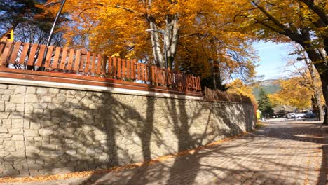 beautiful view of  metsovo in autumn in greece