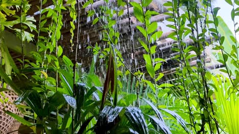 heavy rain downpour water falling on leaves of green plants in lush garden from wooden bamboo roof on tropical island of bali, indonesia