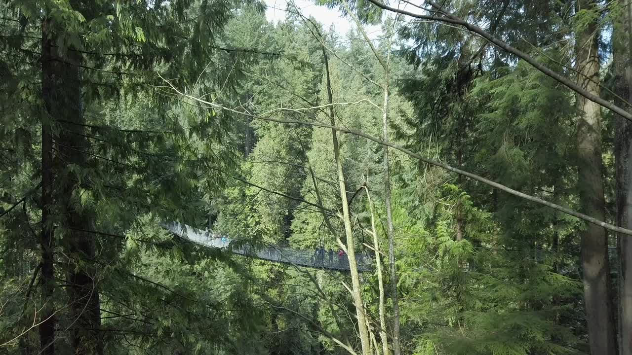 Aerial View of People Walking on a Suspension Bridge in a Lush Forest