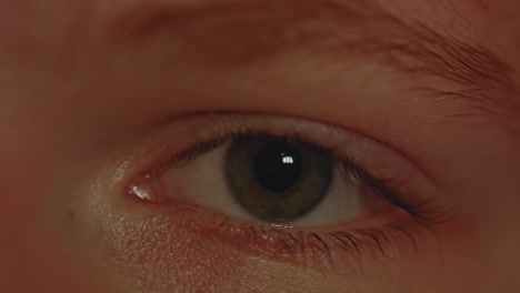 hermoso macro de ojo mirando a la cámara y parpadeando en cámara lenta