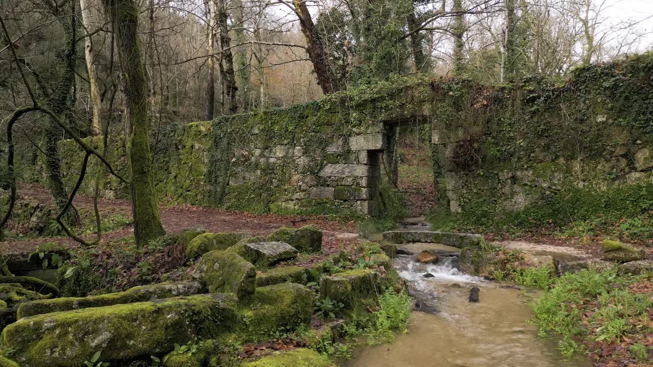 Antiche rovine muschiose accanto a un ruscello gorgogliante nel bosco