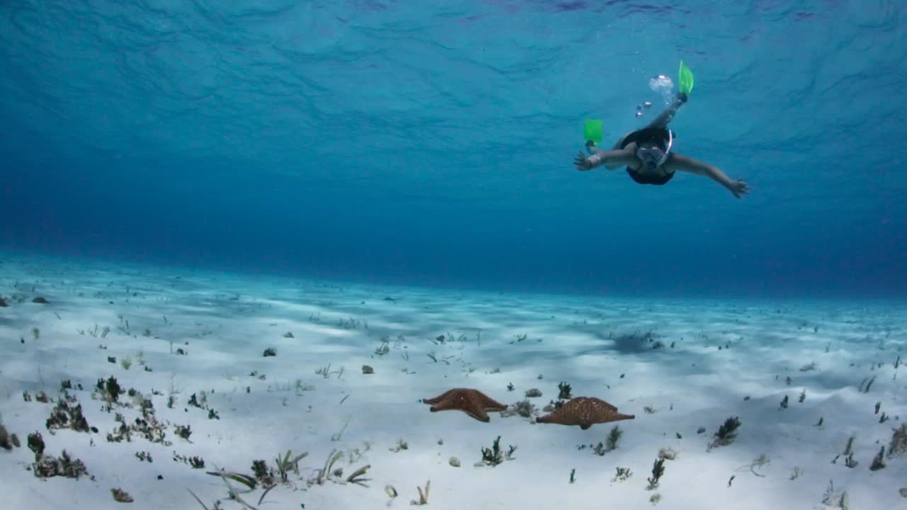 Girl swimming around starfish in Caribbean sea. Cozumel, Mexico.