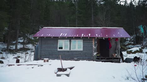 Mann-Mit-Schubkarre-Stapelt-Einen-Stapel-Holzstämme-In-Einer-Hütte