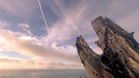 Time-lapse-of-moving-clouds-over-sea-water-surface-at-horizon-and-old-rotten-wooden-tree-remains-in-closeup,-artsy-timeless-concept