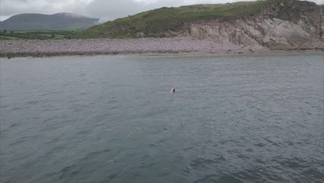 Aerial-view-of-a-swimmer-in-the-ocean