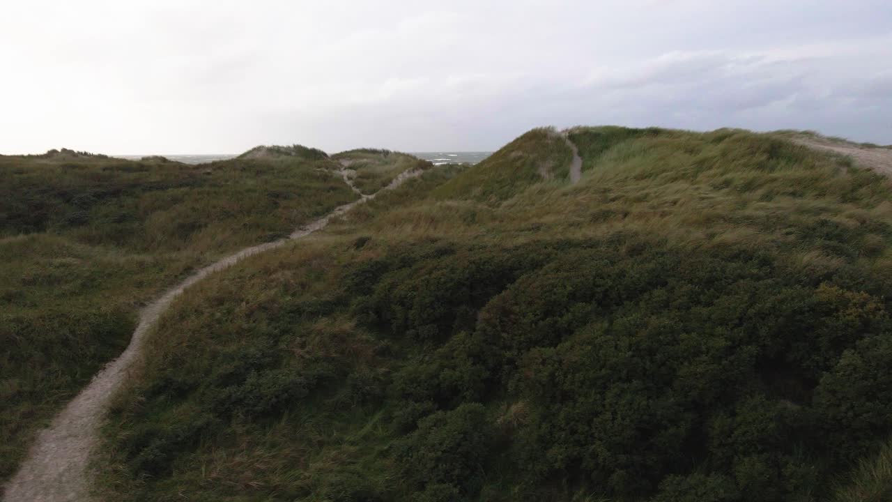un dron de baja altitud se mueve lateralmente hacia la izquierda a través de dunas cubiertas de hierba en hvide sande, dinamarca, capturando el paisaje texturizado de las dunas costeras y la hierba suavemente ondulante en un día de tormenta