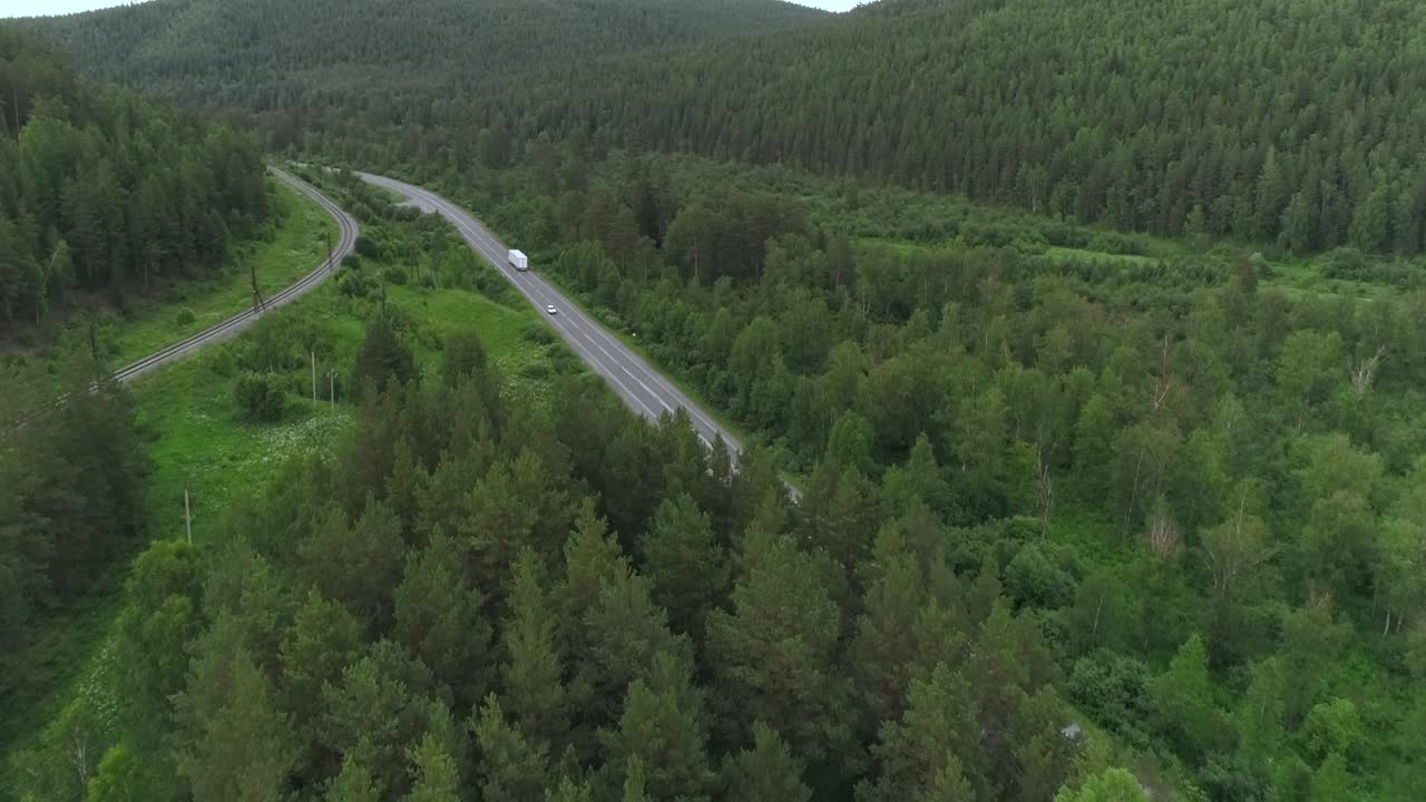 carretera sinuosa a través de un bosque