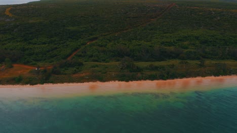 disparo de drones avanzando sobre el océano hacia una isla forestal con una hermosa playa amarilla durante la puesta de sol, un callejón de tierra está dividiendo los árboles