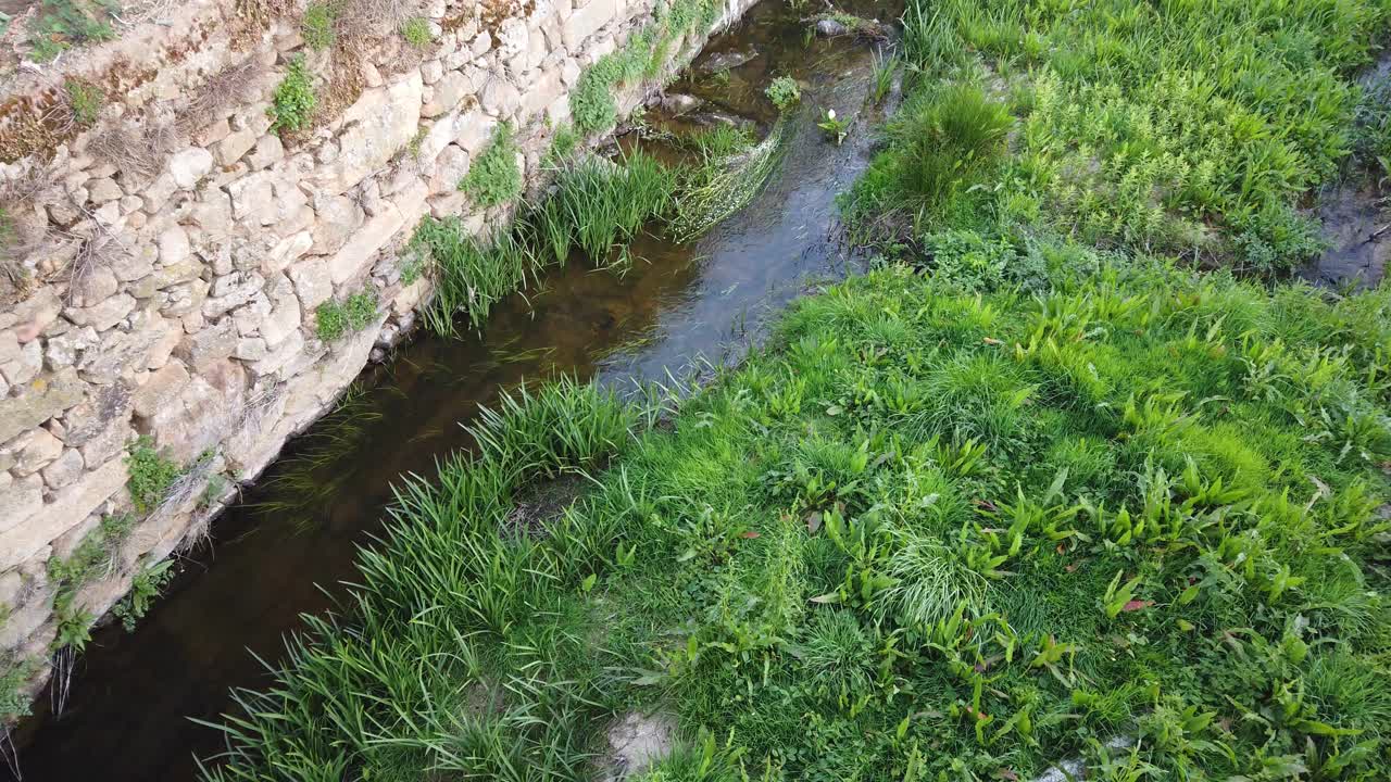agua muy lenta entre la hierba y una pared
