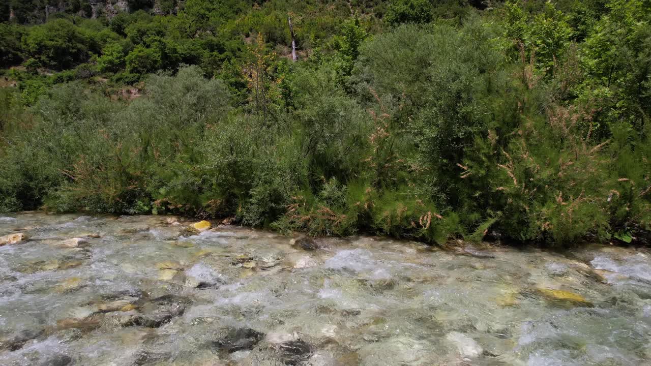 agua limpia transparente del río que fluye a través de las rocas del lecho del río con un fondo de vegetación exuberante