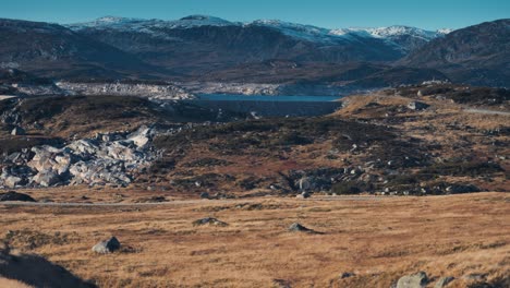 Eine-Karge-Nordische-Landschaft