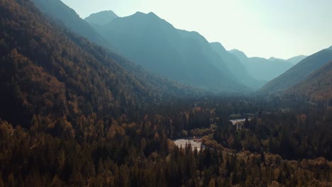 Vista-Panorámica-De-Los-Pinos-En-El-Majestuoso-Bosque-Del-Valle-Durante-El-Otoño-En-Italia---Toma-Aérea-Amplia