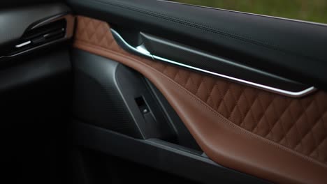 modern car door, modern car interior, leather interior