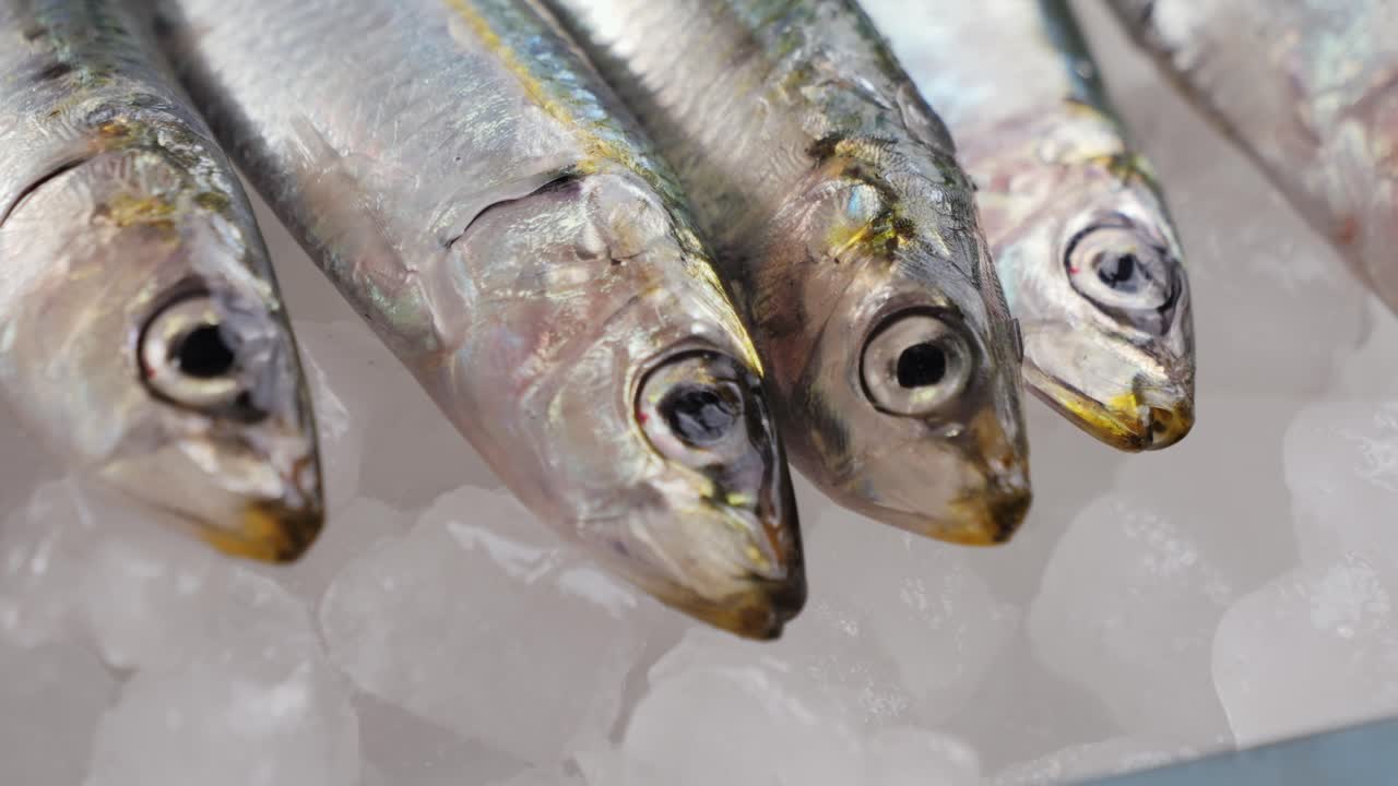 Fresh Sardines on Ice