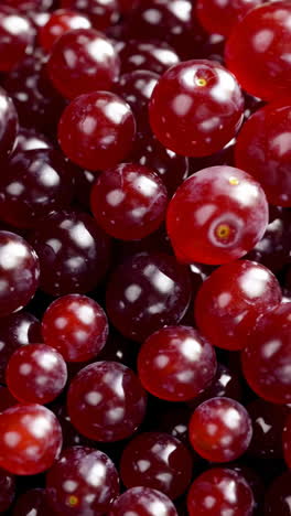 close-up of red grapes