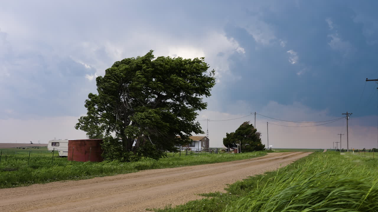 Stormy Rural Landscape with Wind-Blown Tree