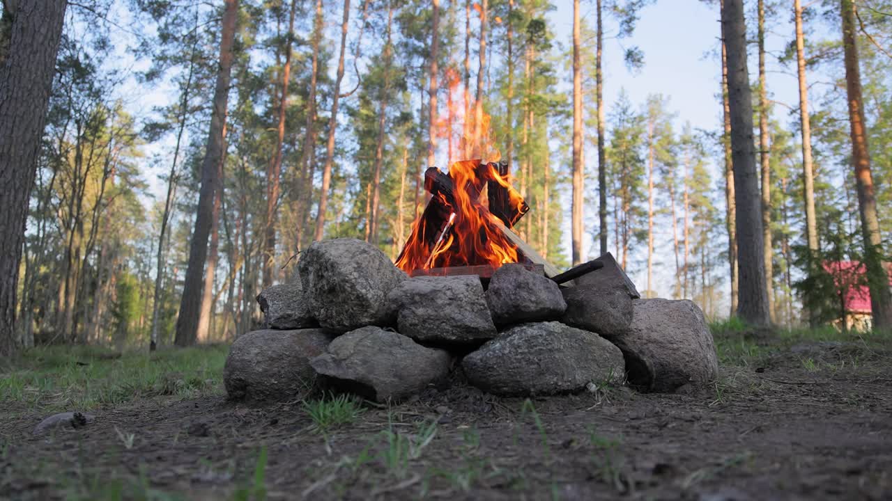 Горящий костер в лесу