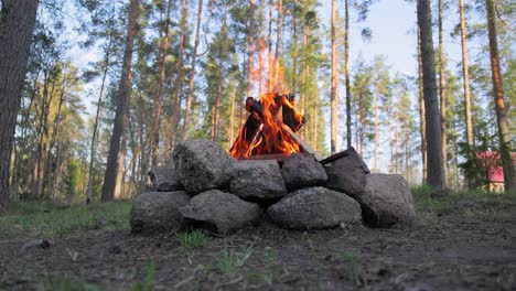 Brennendes-Lagerfeuer-Im-Wald