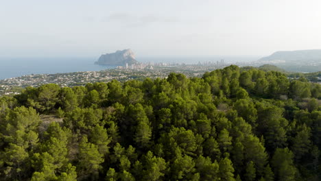 panoramic view of coastal city with forest