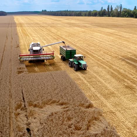combine harvester agriculture machine with tractor. aerial shot of combine loading off corn grains into tractor trailer