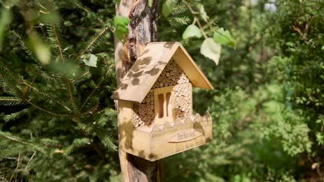 panning shot of a bee hotel, insect hotel on the tree in an orchard