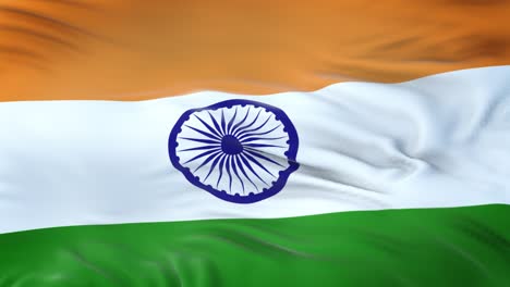 india flag waving in the wind with highly detailed fabric texture. seamless loop