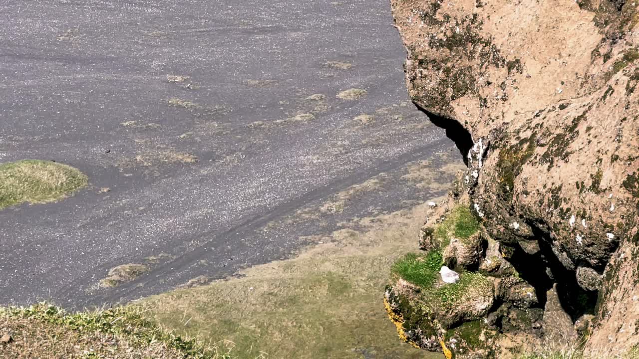 Iceland - Immerse yourself in the untamed charm of Dyrh&oacute;laey, a haven for seabirds and a symbol of Iceland's untamed spirit