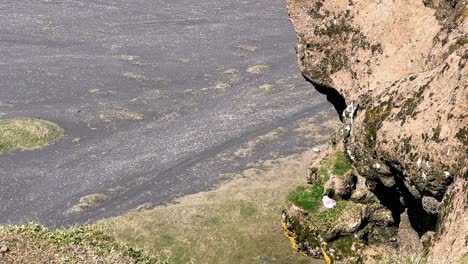 Island-–-Tauchen-Sie-Ein-In-Den-Ungezähmten-Charme-Von-Dyrhólaey,-Einem-Zufluchtsort-Für-Seevögel-Und-Symbol-Für-Islands-Ungezähmten-Geist