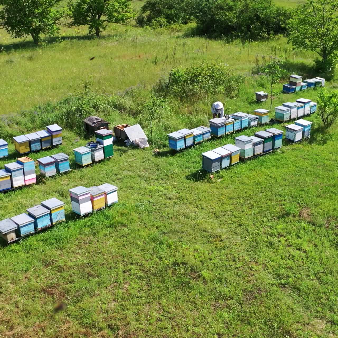 Beehive boxes on a bee farm. Wooden hives on the apiary in summer. Beekeeper works on the apiary. Apiculture process. Aerial view.