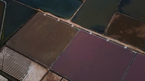 Salinas-De-Es-Rompe,-Saltworks-Farming-On-Island-Mallorca,-Spain