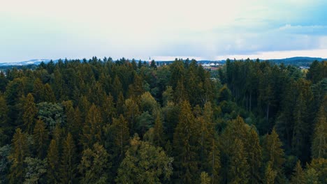 a drone flies over the forest on the horizon a small village and blue sky aerial